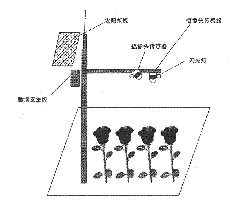 Automatic leaf area index observation system and method