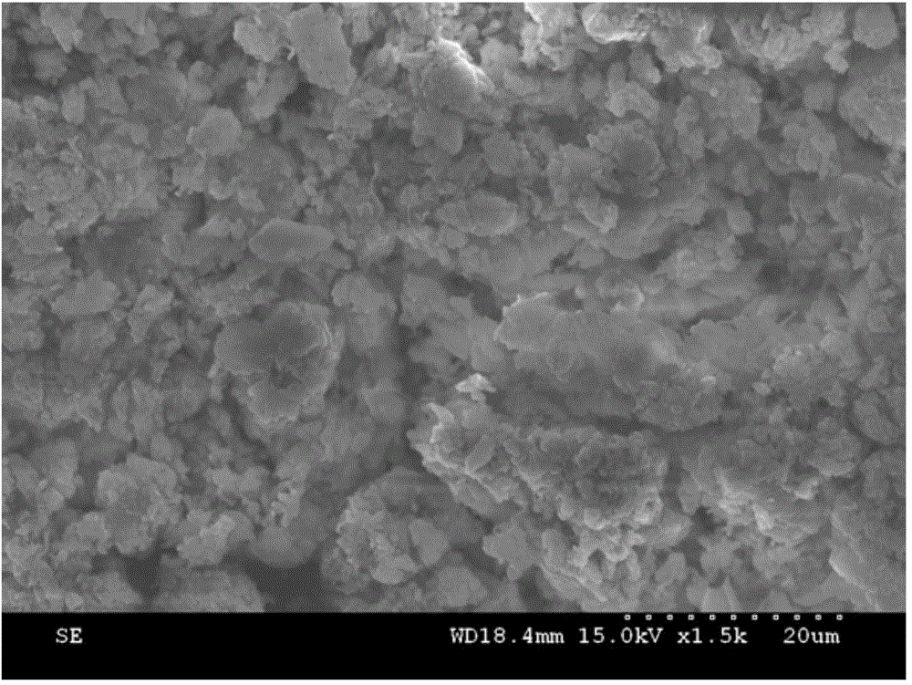 Method for fast starting H. hydrossis dominant filamentous fungus sludge slight expansion under condition of low C/N ratio domestic sewage