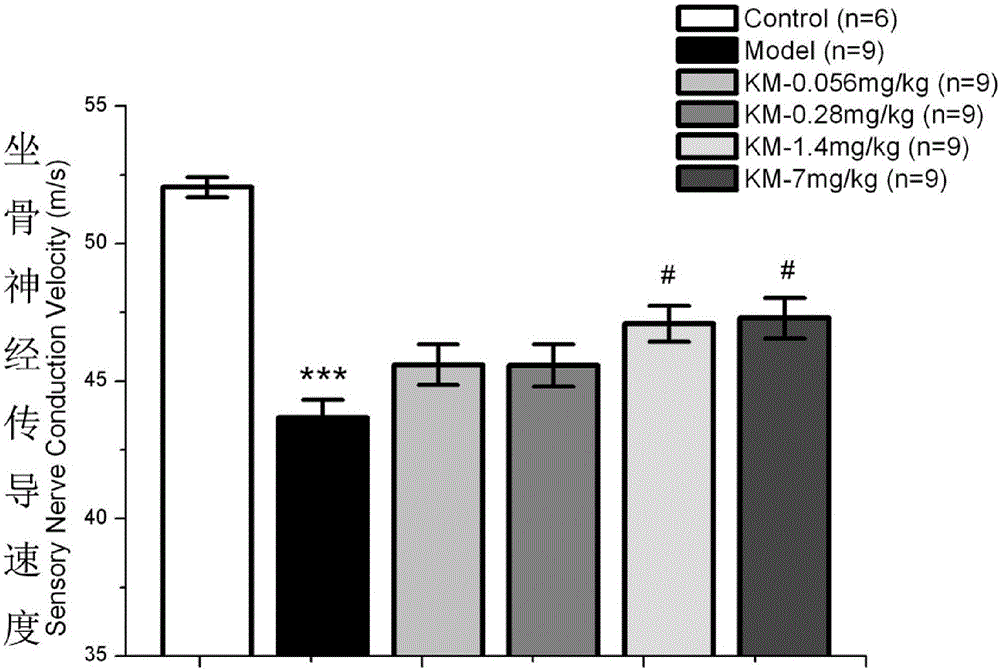 Application of kinesin and its homologues in the preparation of drugs for the treatment of diabetic complications