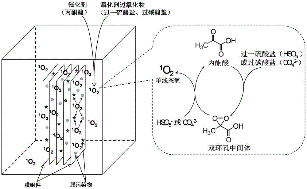 Method for cleaning membrane pollution by utilizing singlet oxygen