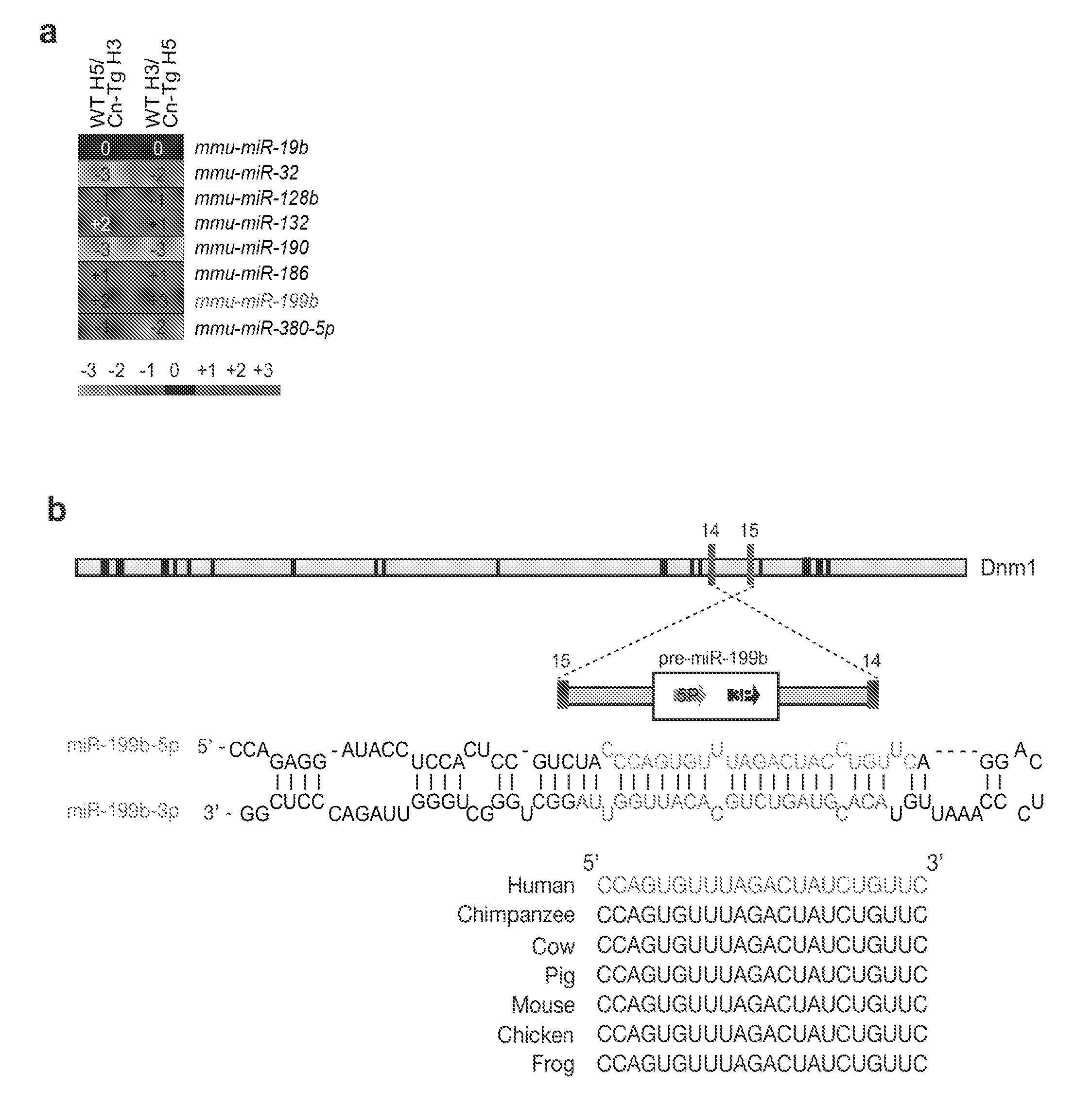 Means and methods for counteracting, delaying and/or preventing heart disease