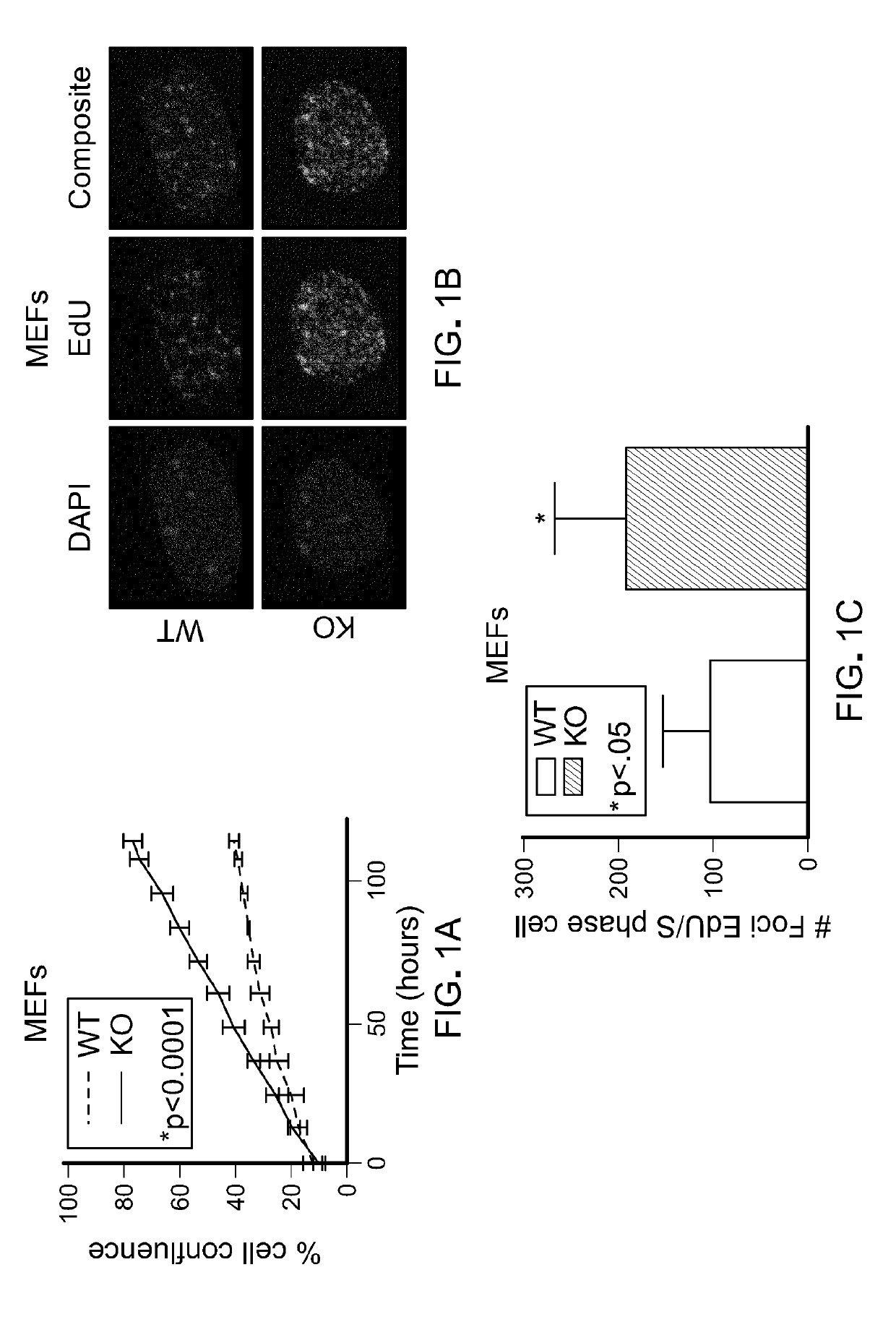 Methods for treating pten-mutant tumors