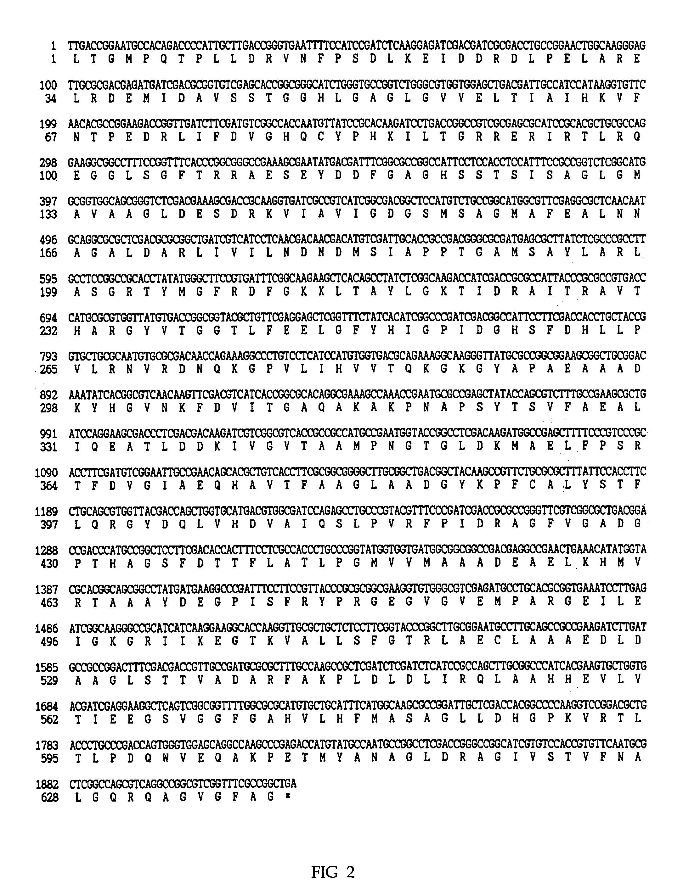 Fermentation process for preparing coenzyme Q10 by the recombinant Agrobacterium tumefaciens