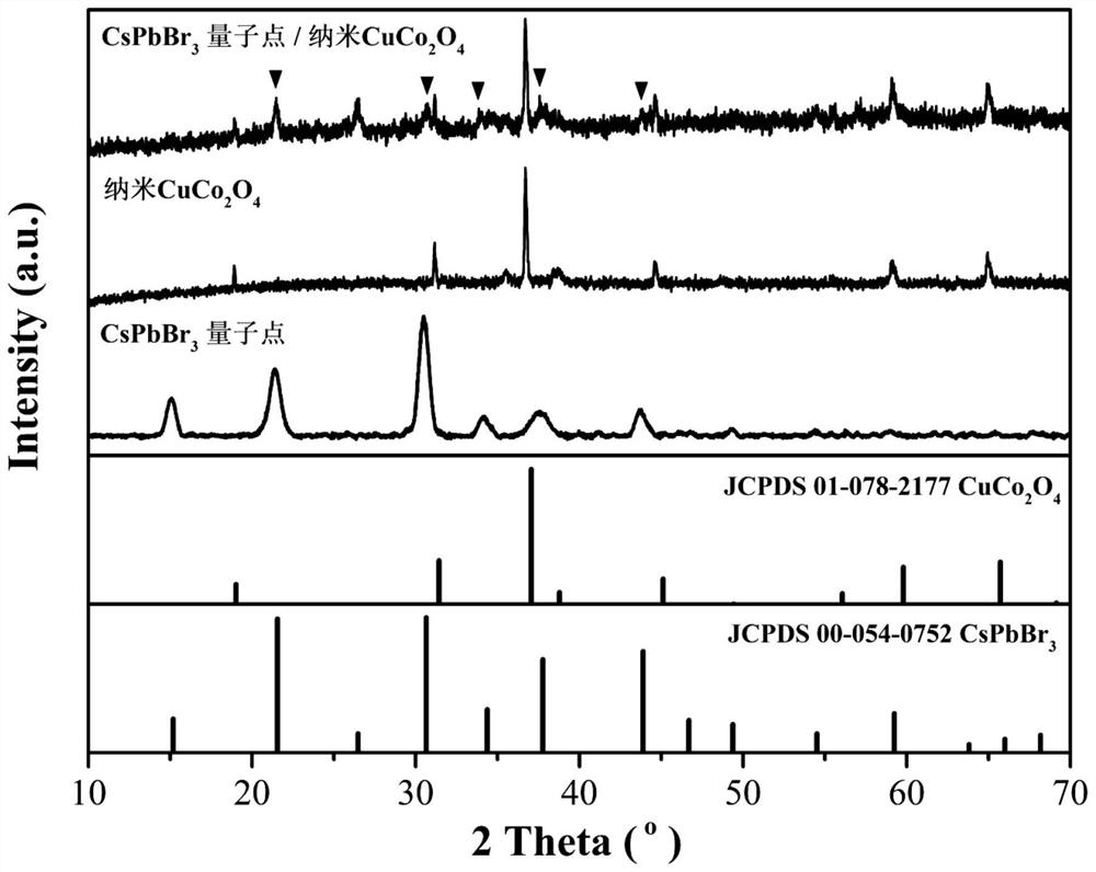 CsPbBr3 quantum dot/nano CuCo2O4 composite photocatalyst for CO2 reduction and preparation method of CsPbBr3 quantum dot/nano CuCo2O4 composite photocatalyst