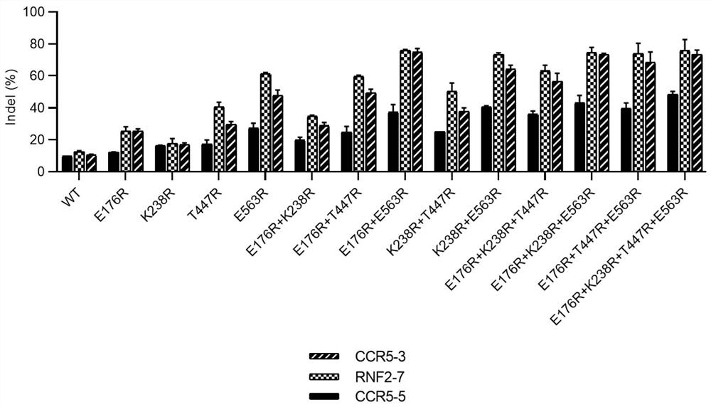 Engineered Cas12i nuclease as well as effect protein and application thereof