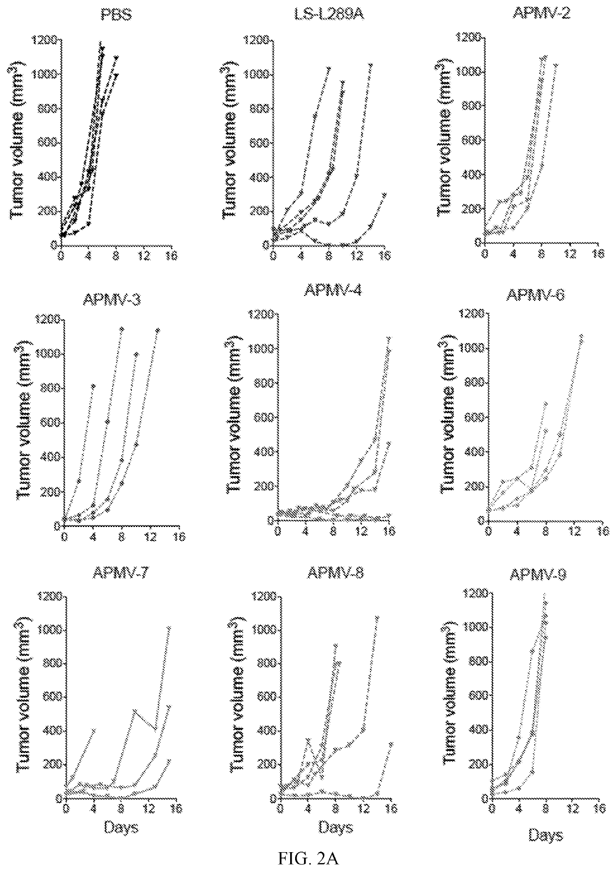 Apmv and uses thereof for the treatment of cancer