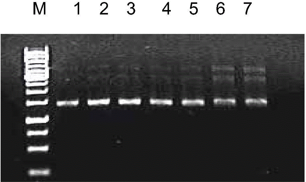 Method for improving PCR amplification sensitivity by using integrated host factor