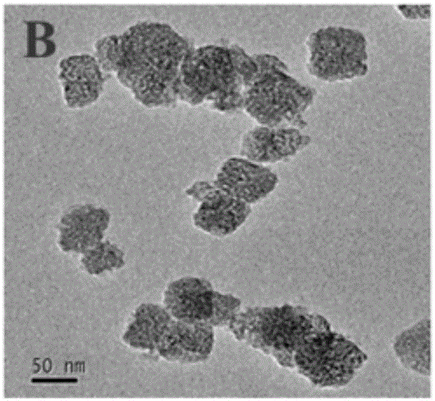 Preparing method and application of dual-response sandwich-type immunosensor based on TiO2 mesomorphic nanomerter material