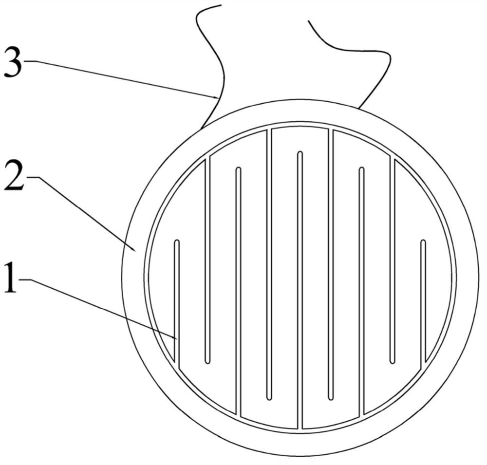 Composite diaphragm of flat panel speaker and earphone speaker with same