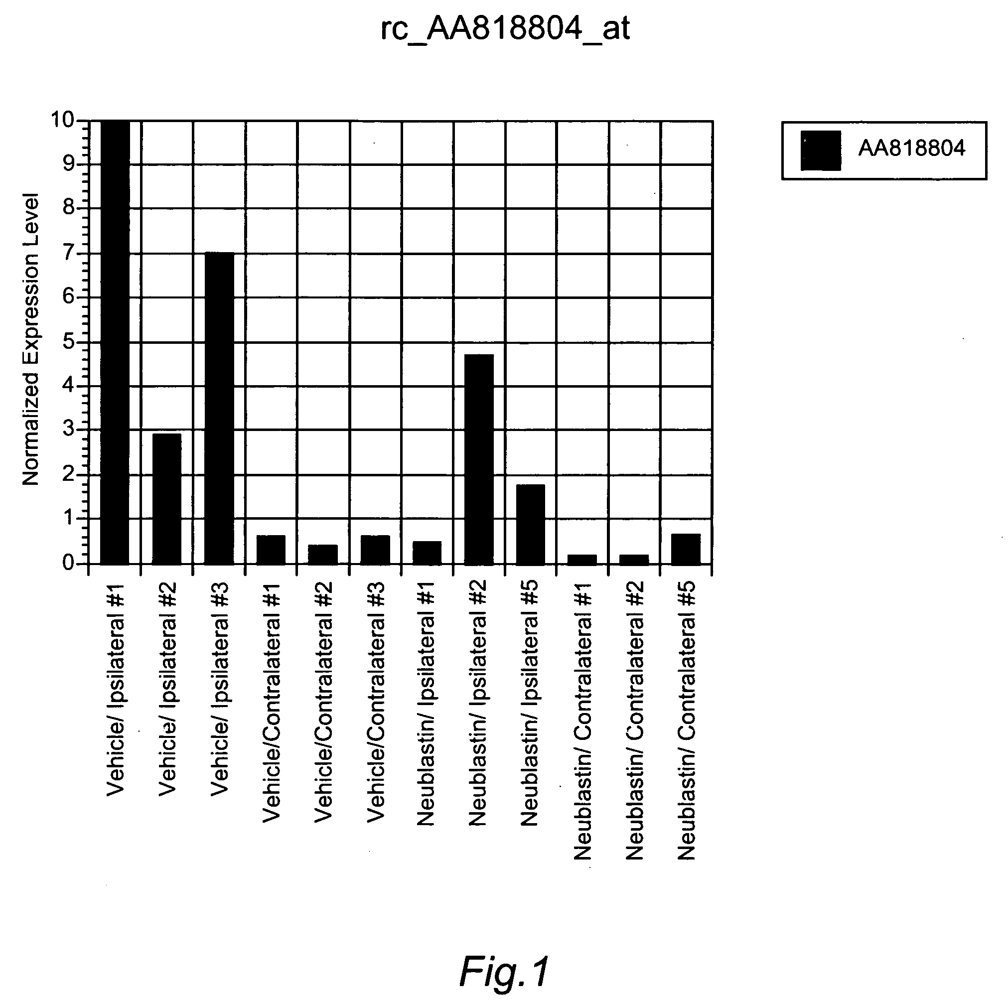 Surrogate markers of neuropathic pain