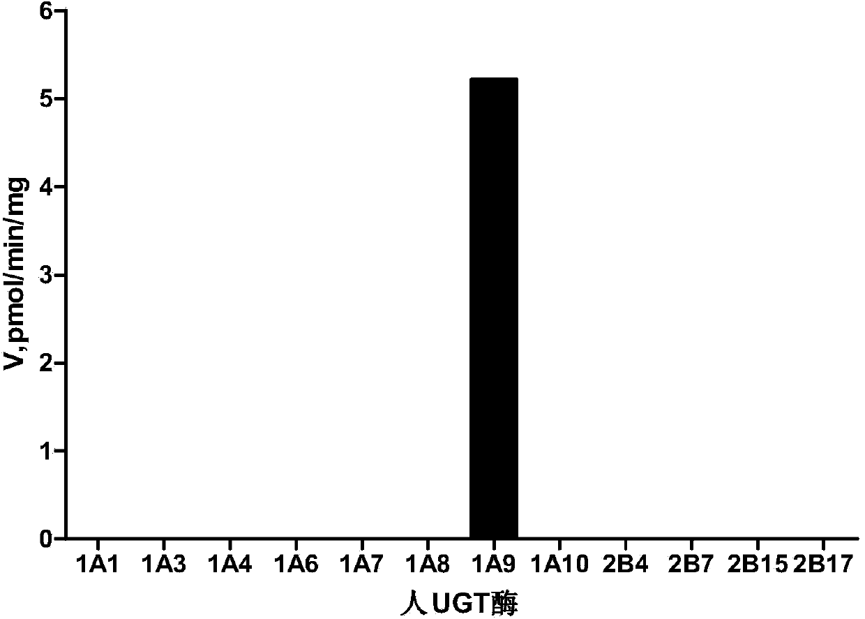 Application of oxymetazoline as special substrate for glucuronyl transferase UGT1A9