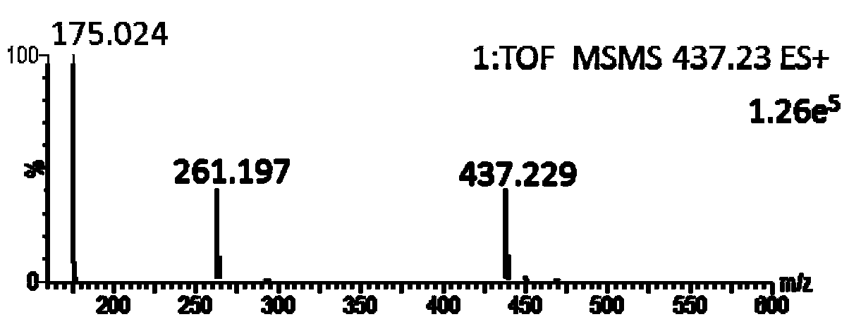 Application of oxymetazoline as special substrate for glucuronyl transferase UGT1A9