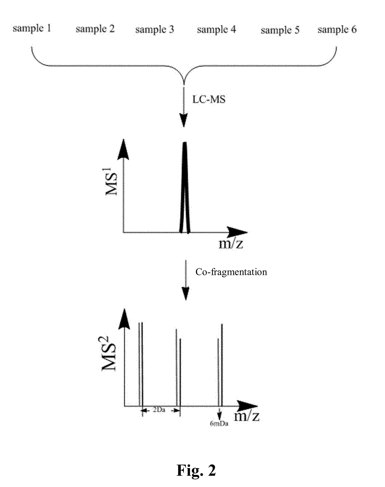 Multiplex proteome quantification method based on isobaric dimethyl labeling