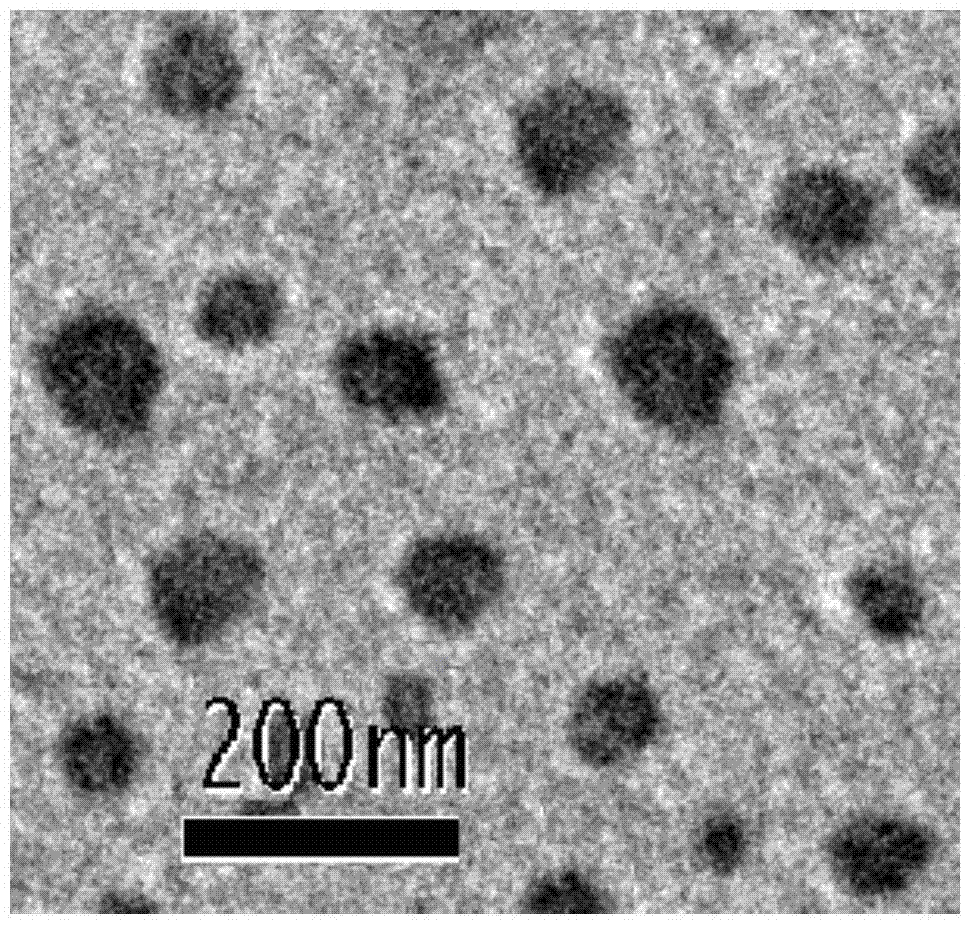 Nanoparticles, and preparation method, application and preparation thereof