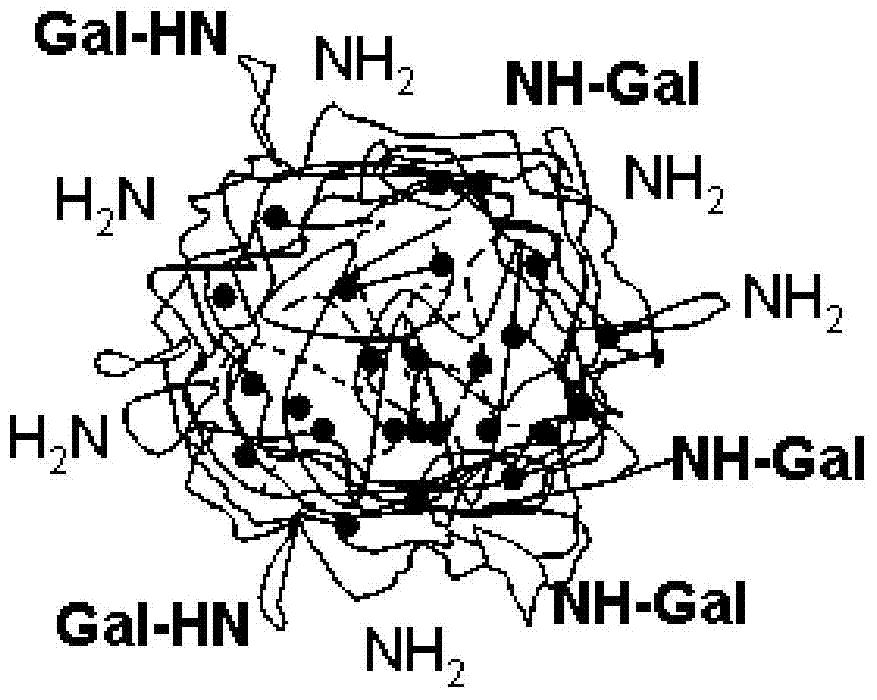 Nanoparticles, and preparation method, application and preparation thereof