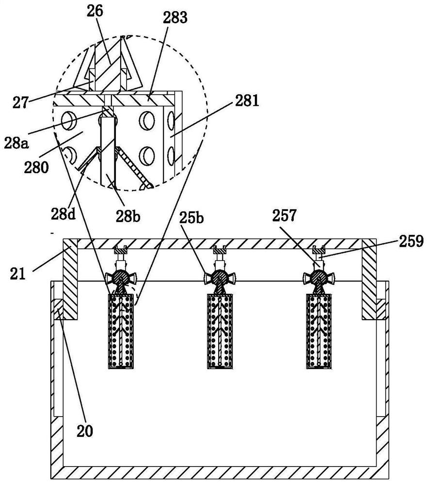 Fixing and clamping device for plant dyeing