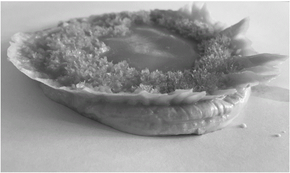 Culture medium and culture method for inducing morphological transformation of Paecilomyces hepiali strain SH-1, and strain