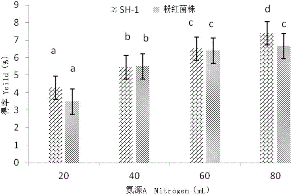 Culture medium and culture method for inducing morphological transformation of Paecilomyces hepiali strain SH-1, and strain