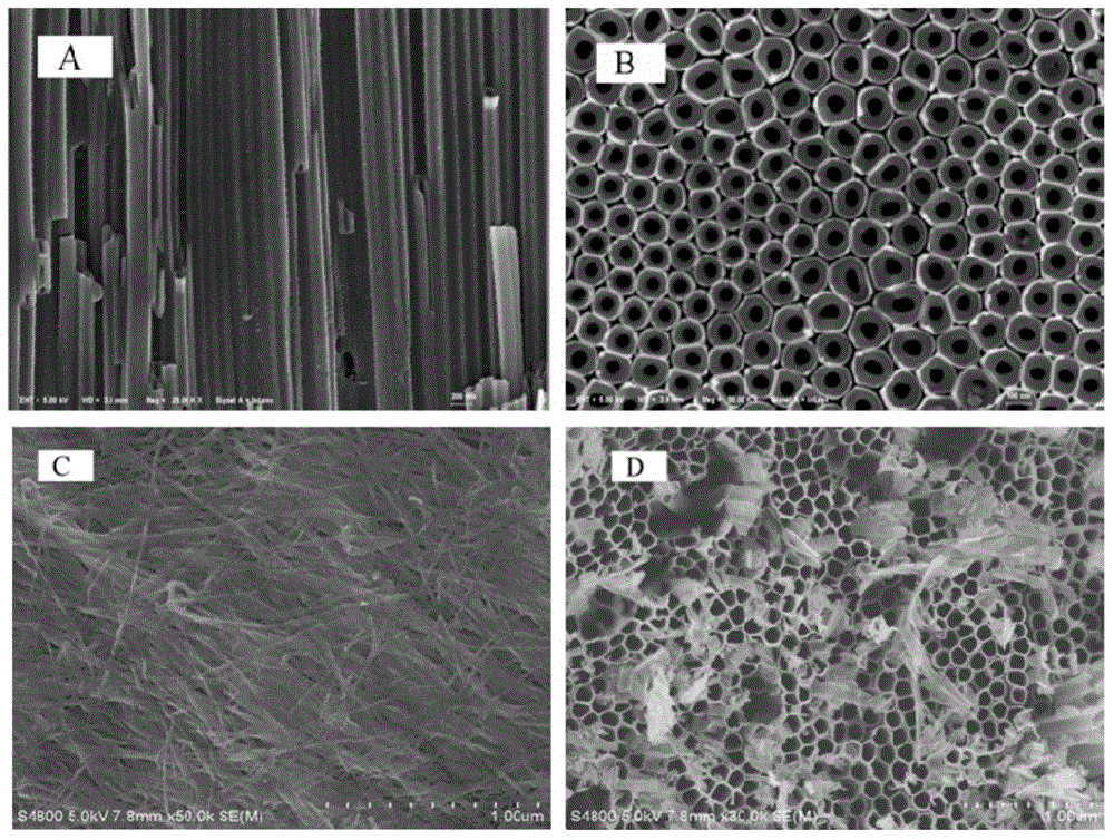 Method for preparing ordered ion conductor based on polyelectrolyte brush