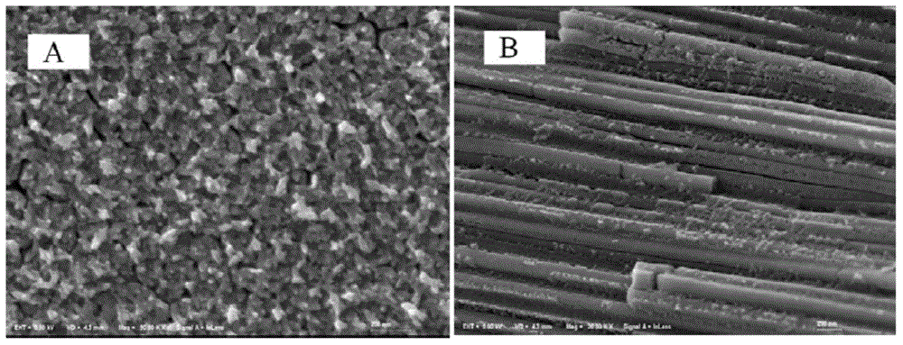 Method for preparing ordered ion conductor based on polyelectrolyte brush