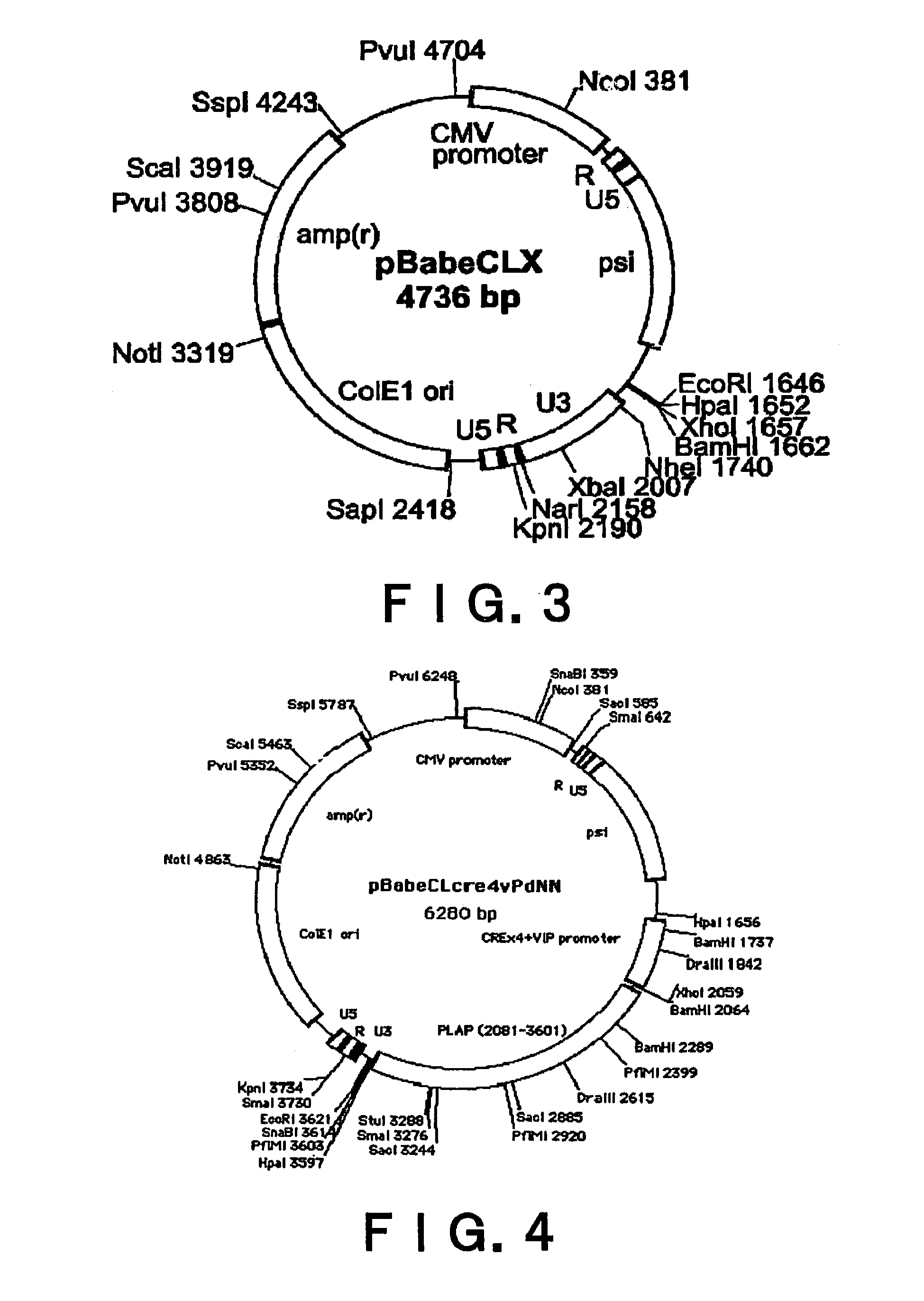 Method for screening of substance which alter GPR120-mediated cell-stimulating activities