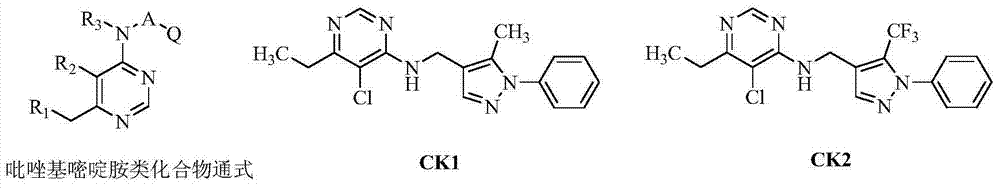 Pyrazolyl pyrimidinamine compounds and application thereof