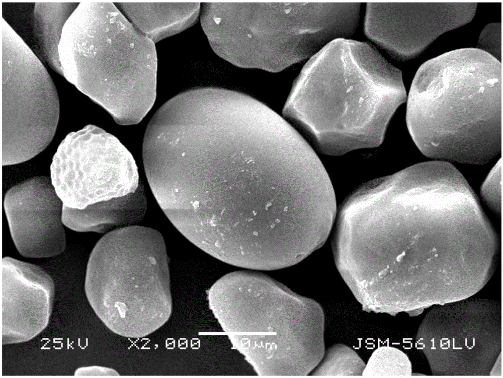 Method for preparing quaternary ammonium cationic starch flocculant in DMSO/H2O/NaOH system