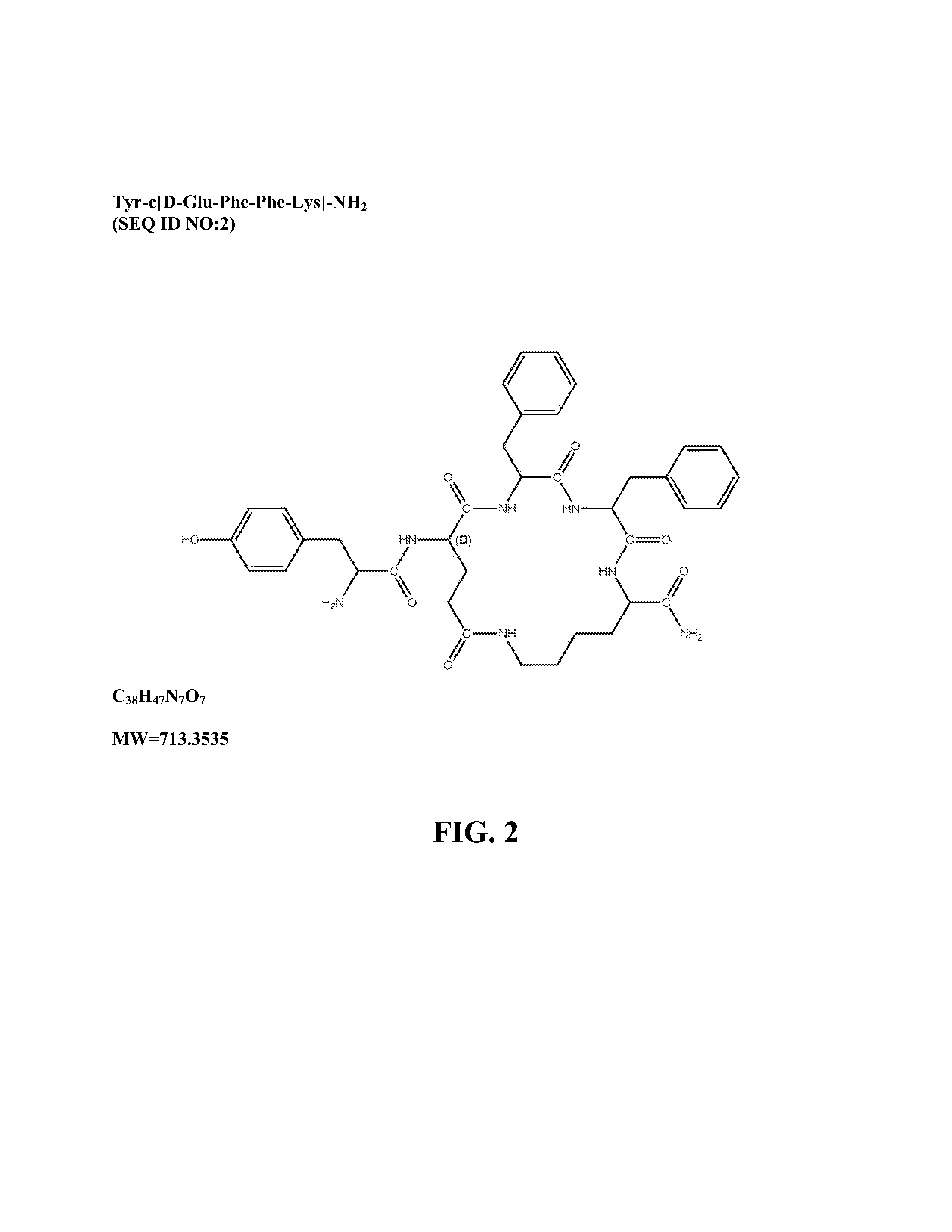 Mu opioid receptor agonist analogs of the endomorphins