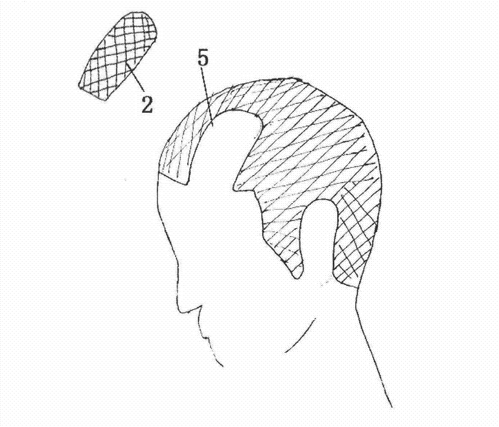 Artificial scalp for hair wearing and preparation method thereof