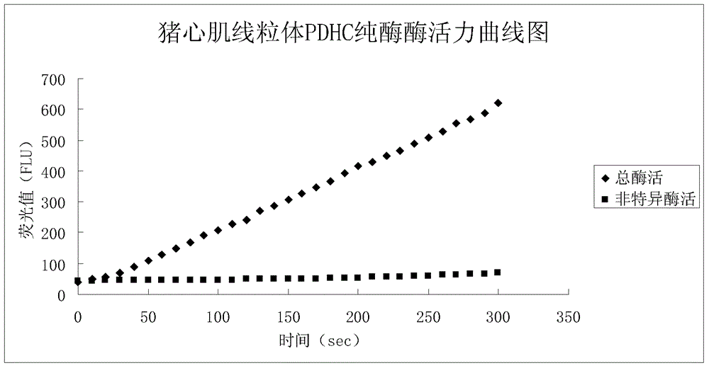 Detection method and reagent of enzyme activity of pyruvate dehydrogenase complex