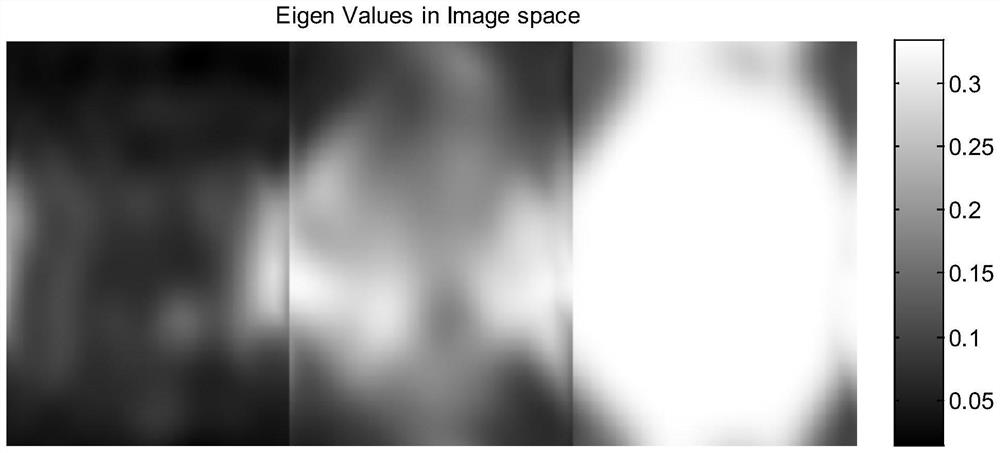 MRI iterative self-calibration parallel imaging algorithm based on singular value decomposition