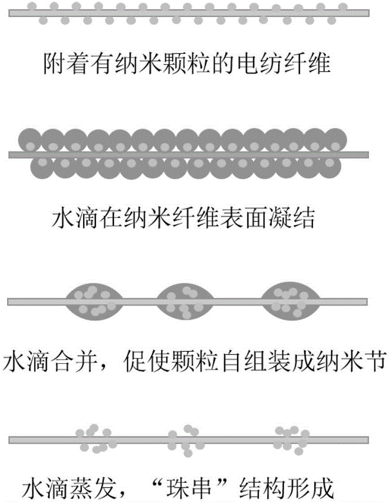 A self-assembly preparation method of electrospun bead string fibers