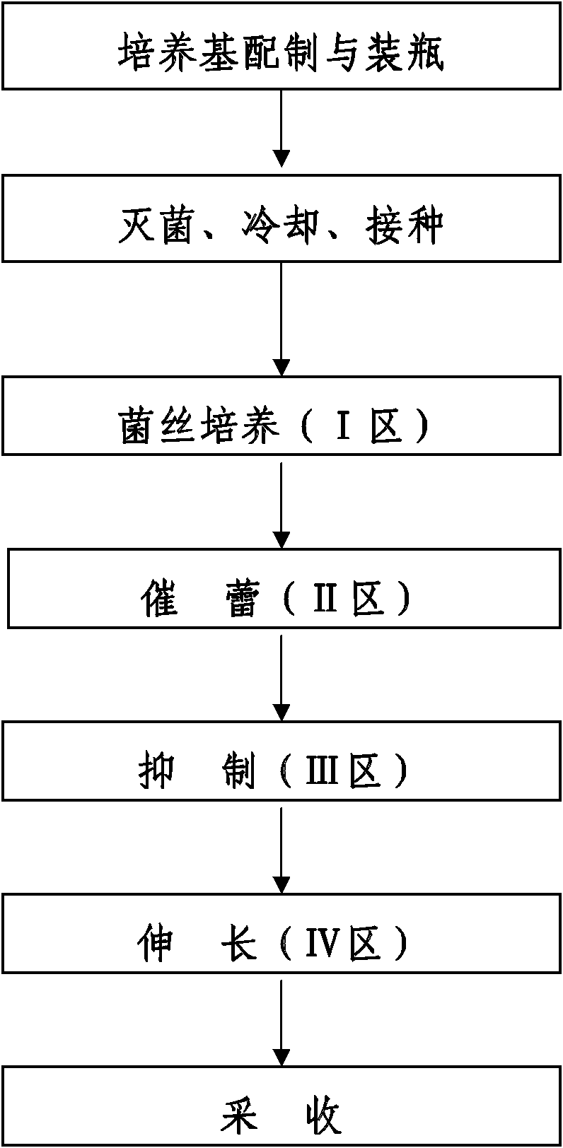 Bottle cultivation method for Hypsizigus marmoreus