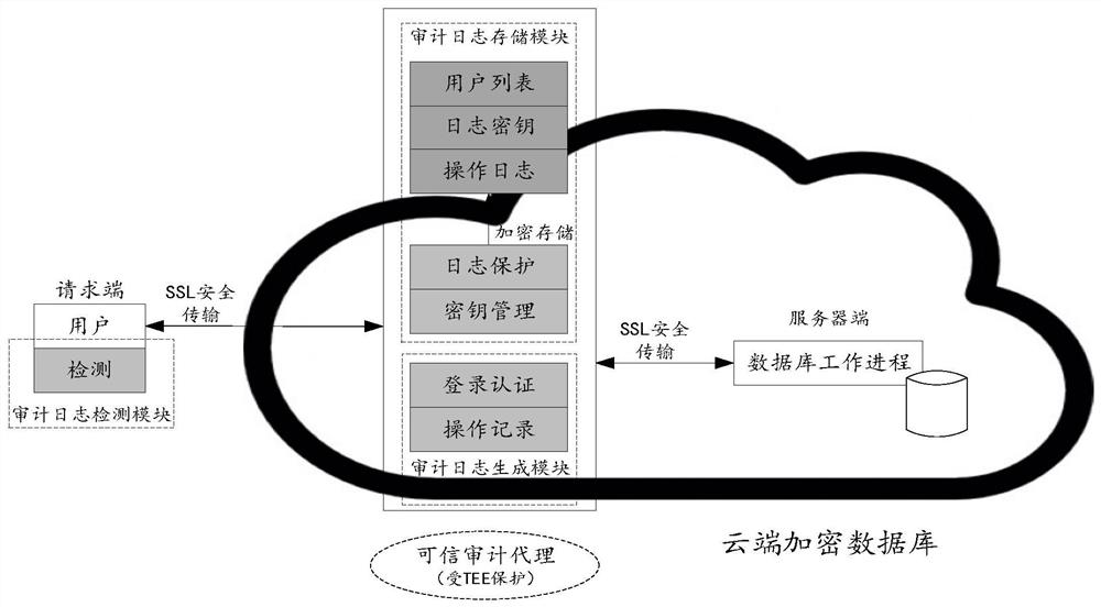 Database auditing method, device, and system, equipment, and storage medium