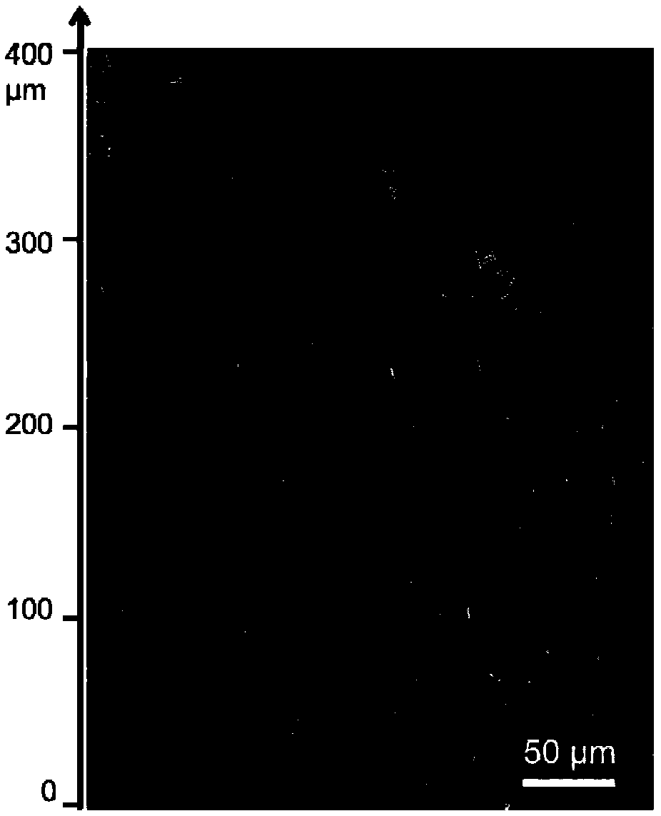 Method of improving mechanical property of material by changing metal material gradient nano twin-crystal structure