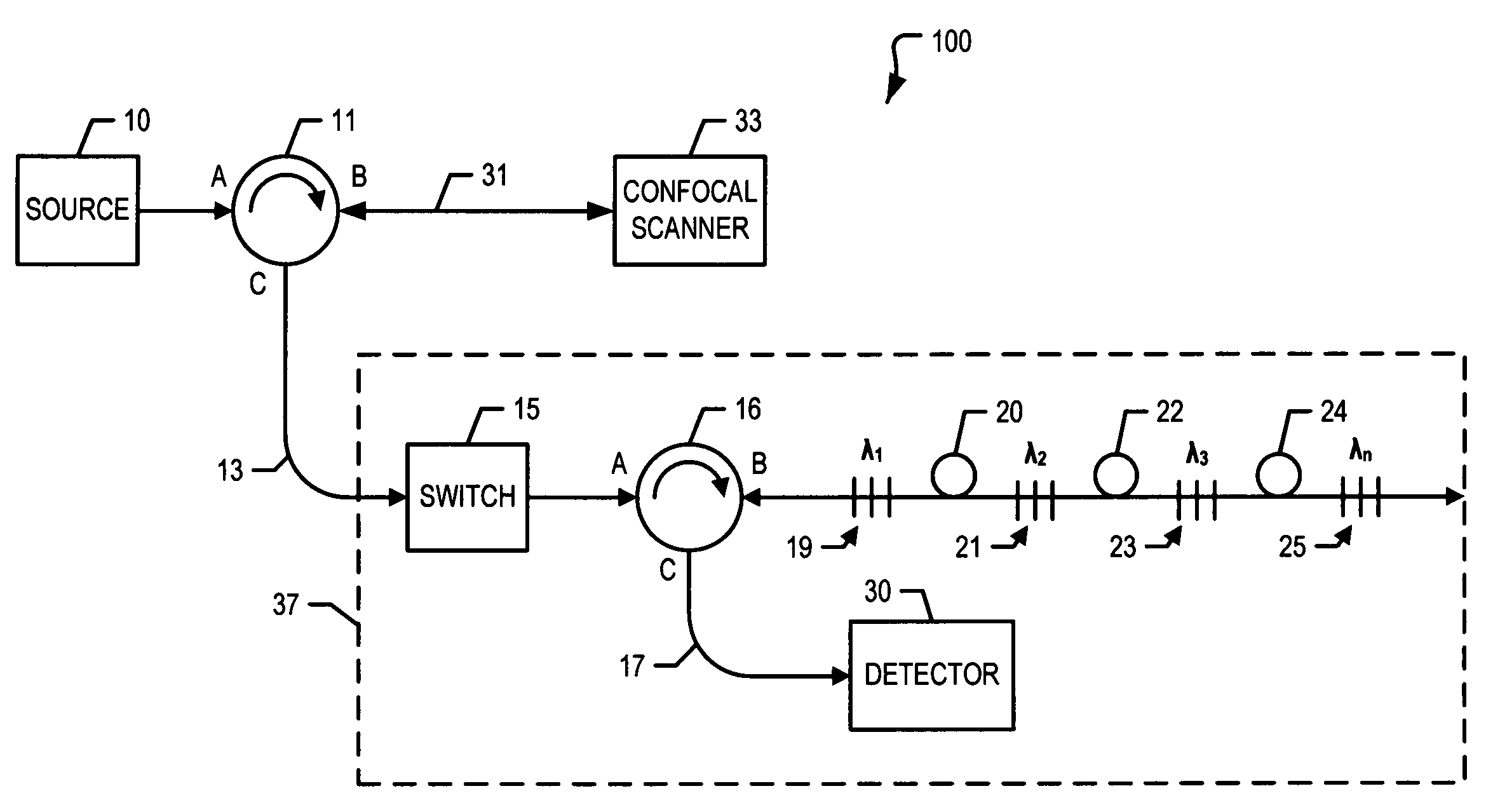 Tissue scanning apparatus and method