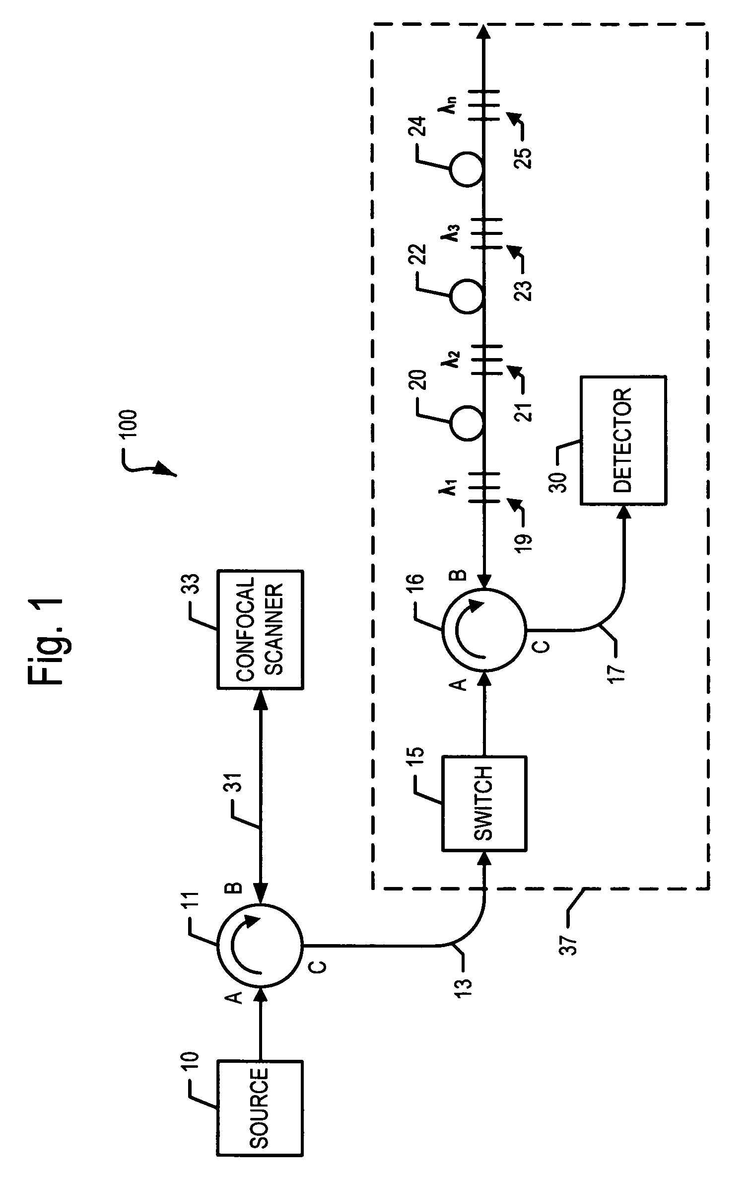 Tissue scanning apparatus and method