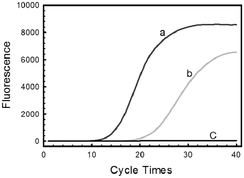 Solid-phase metal ion chelating agent as well as preparation method and application thereof