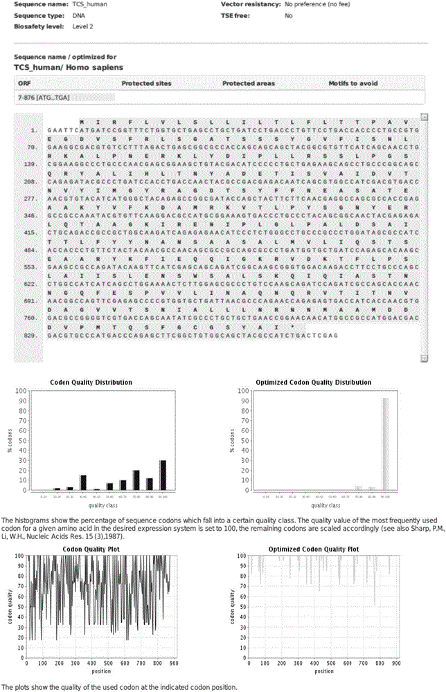 Application of codon-optimized trichosanthin gene in gene therapy