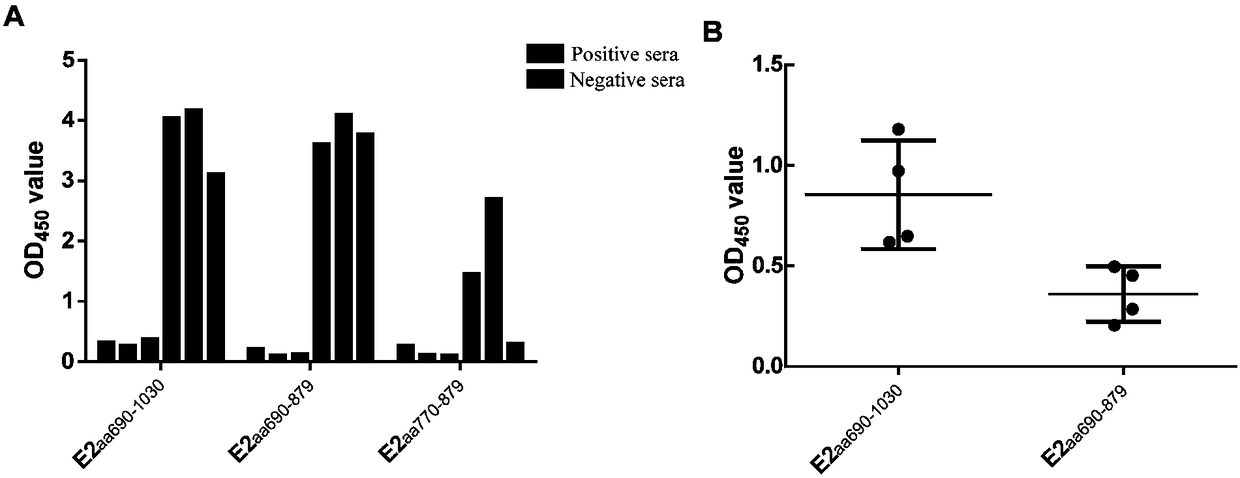 Hog cholera virus truncated E2 protein and application of same