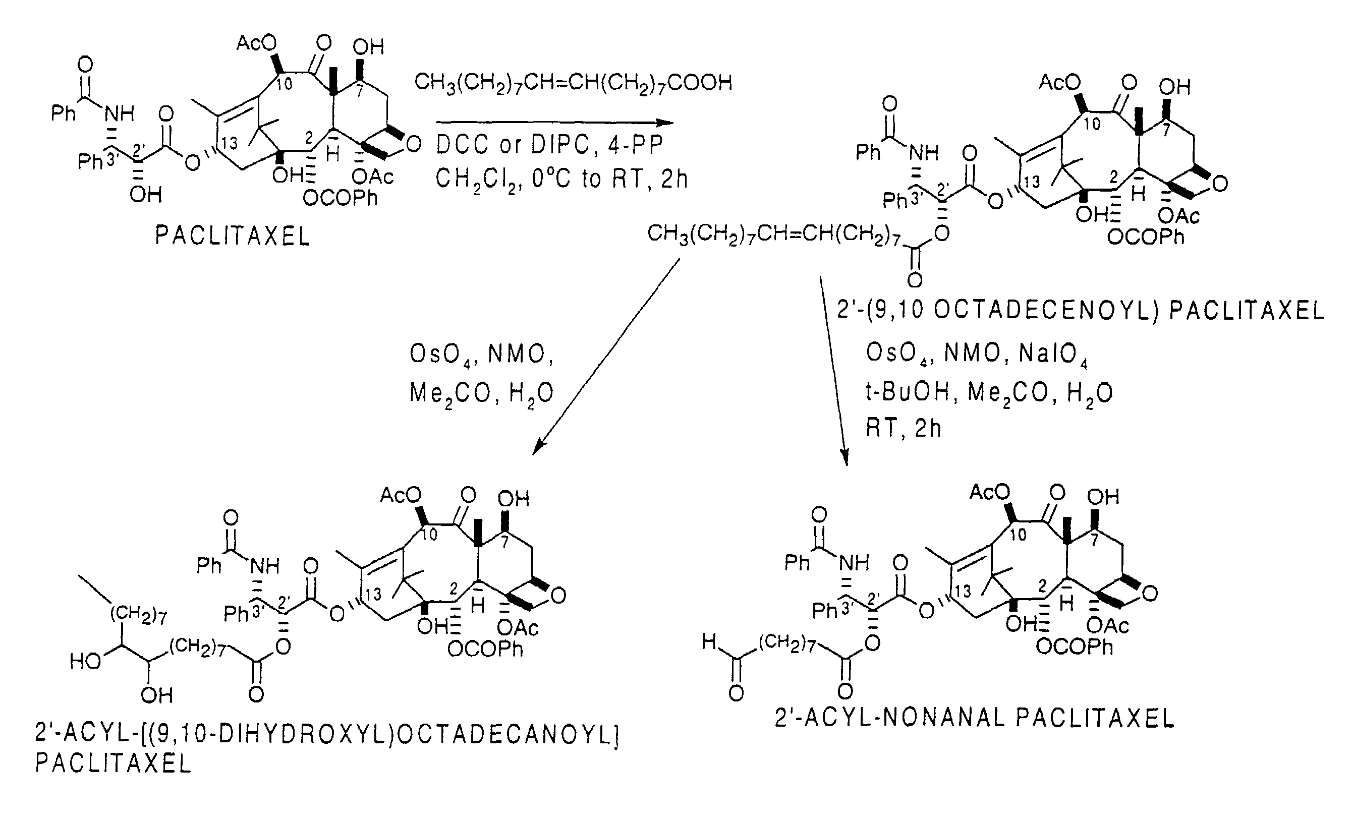 Molecular conjugates for use in treatment of cancer