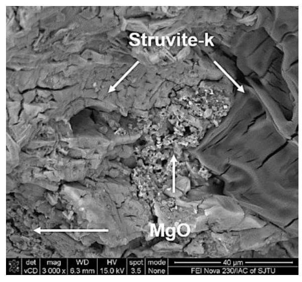 A kind of reinforced magnesium phosphate cement composite material and preparation method thereof