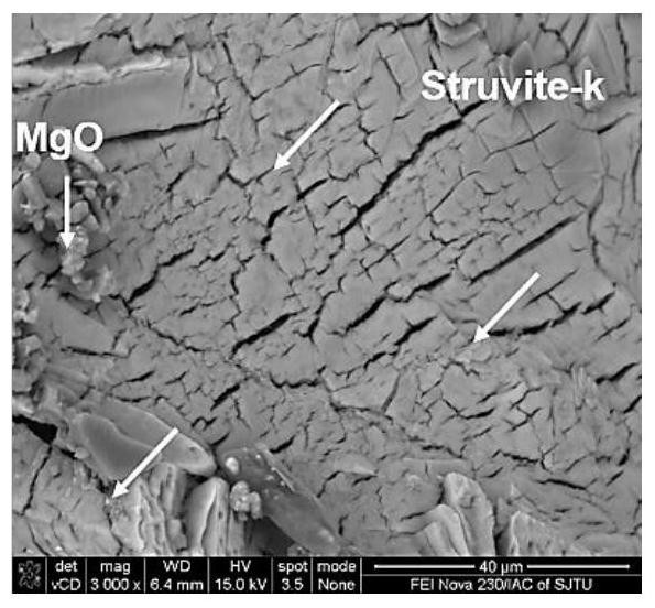 A kind of reinforced magnesium phosphate cement composite material and preparation method thereof