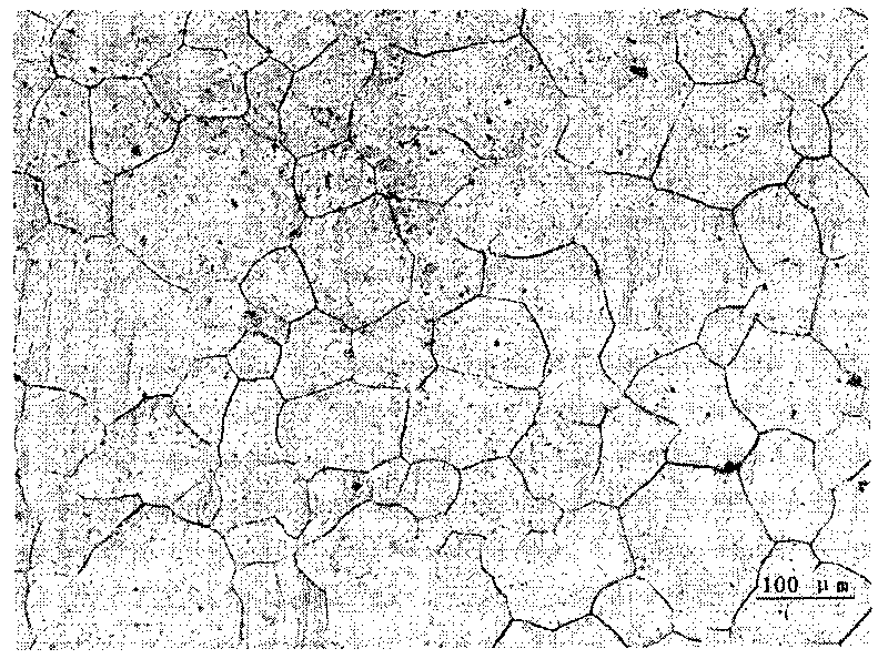 Al-Co grain refiner of Mg-Al-based alloy, preparation method and using method thereof