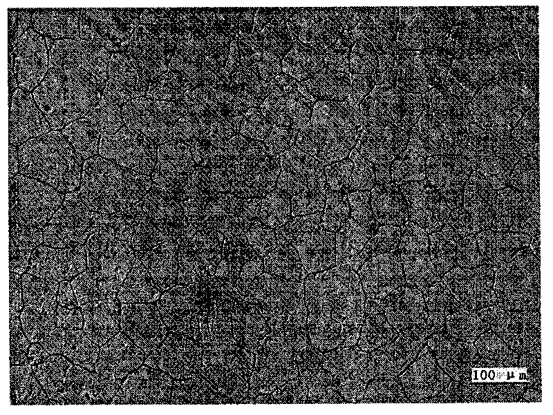 Al-Co grain refiner of Mg-Al-based alloy, preparation method and using method thereof