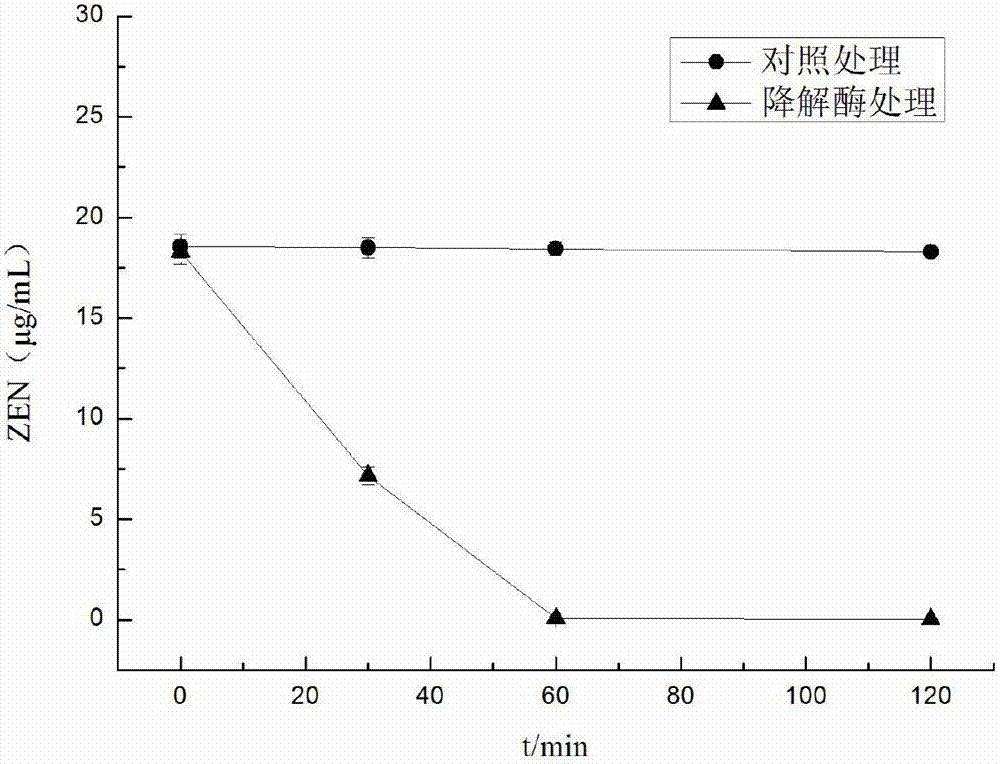 Acid-resistant zearalenone detoxifying enzyme and encoding gene thereof, and application of enzyme and gene