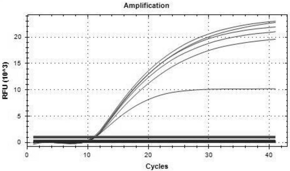 Primer group for simultaneously identifying wild strain and gene deletion strain of African swine fever based on multiple qPCR technology and test kit