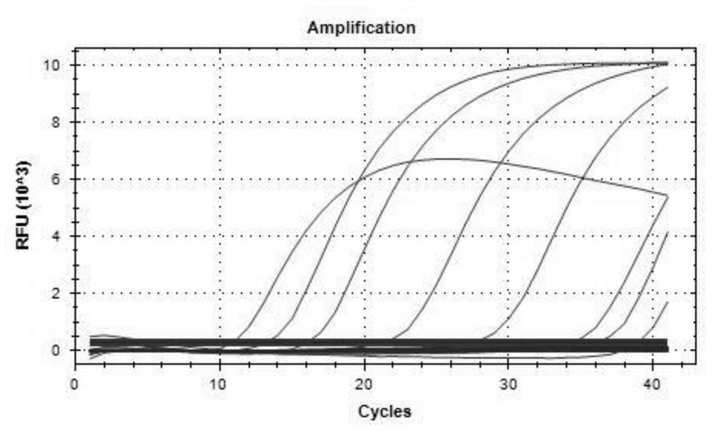 Primer group for simultaneously identifying wild strain and gene deletion strain of African swine fever based on multiple qPCR technology and test kit