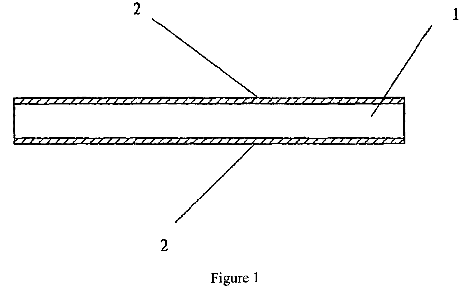 Biological surgical patch and method of making