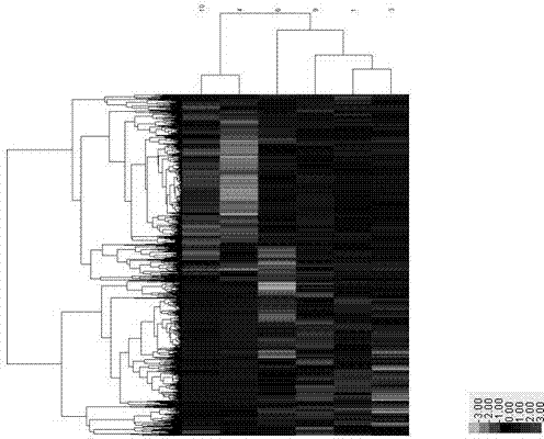 Tumor markers associated with pancreatic cancer and application thereof